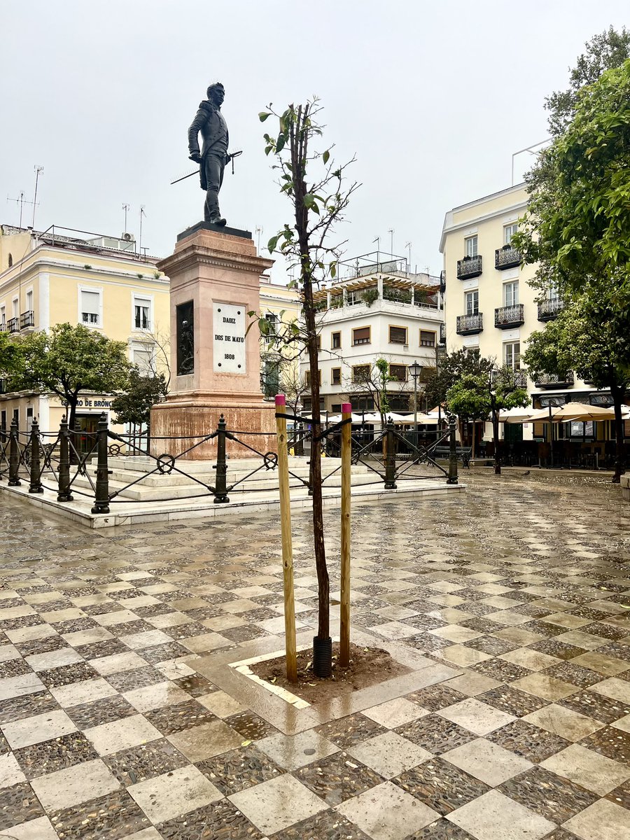 Distrito Casco Antiguo (Sevilla) tweet media
