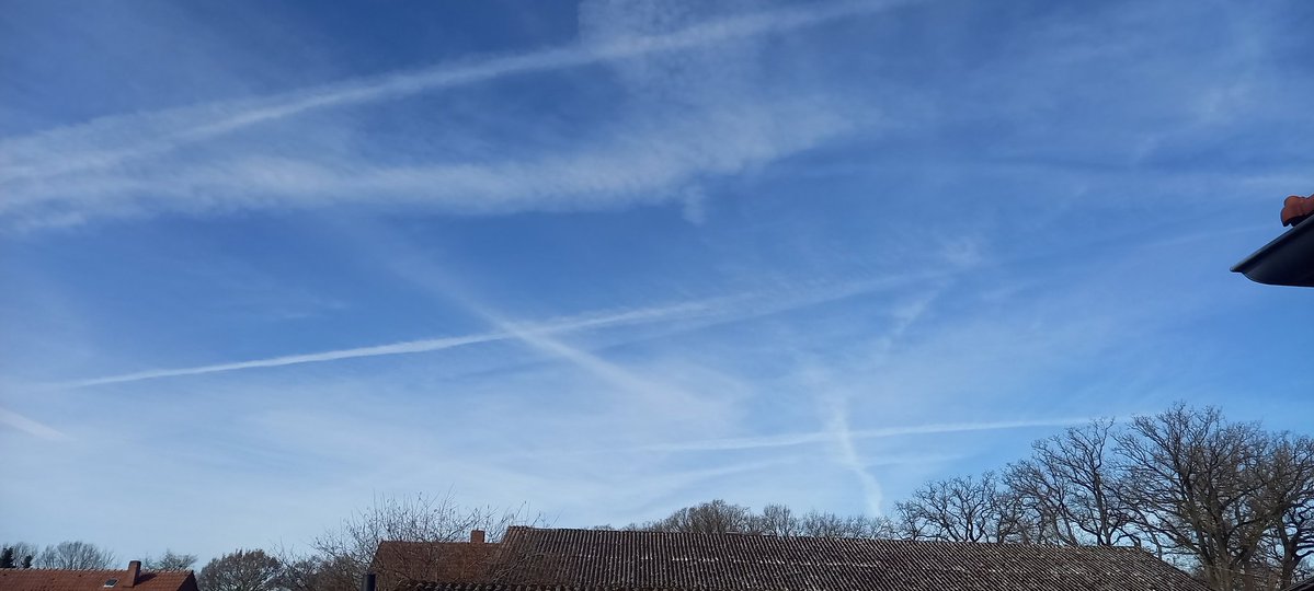 Klein Eli tweet media