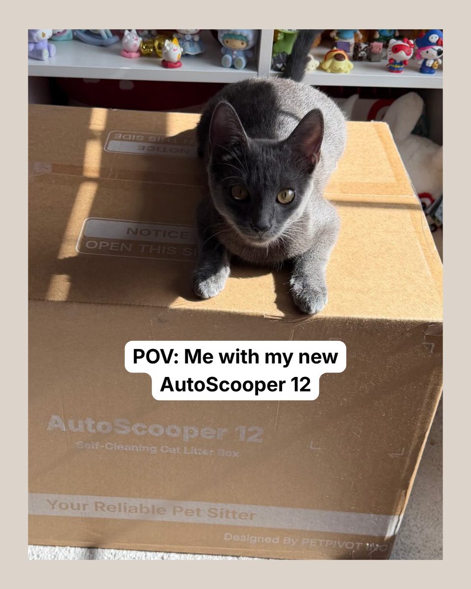 AutoScooper by PetPivot tweet media