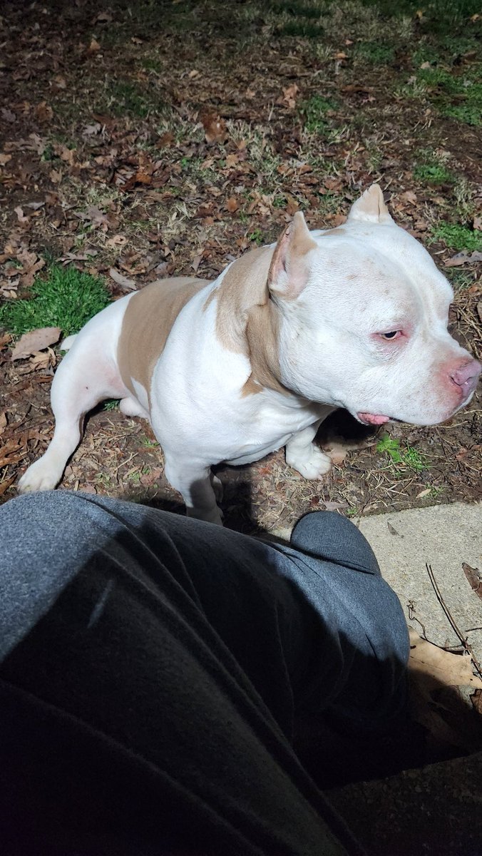 John Tayman tweet media