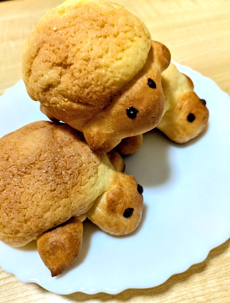 _エリカ_ 〔サブ垢〕 tweet media