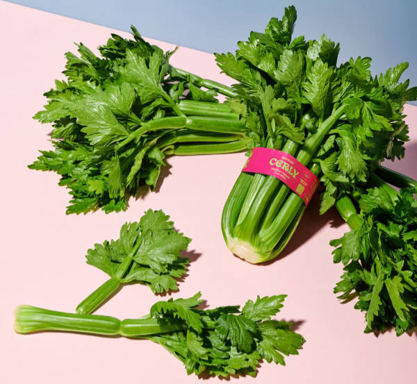 José Marín tweet media