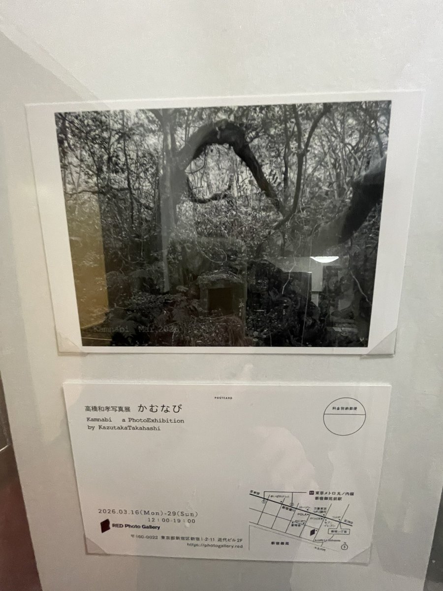marionetteboy's tweet photo. トーテムポールフォトギャラリーで開催してる

淵上裕太さん写真展　『池袋』

レッドフォトギャラリーで開催してる

高橋和孝さん写真展 『かむなび』

sokyu-shaで開催してる

コウノジュンイチさん写真展　『半々』
見に行かせていただきました。 https://t.co/UTfKeYhjoG