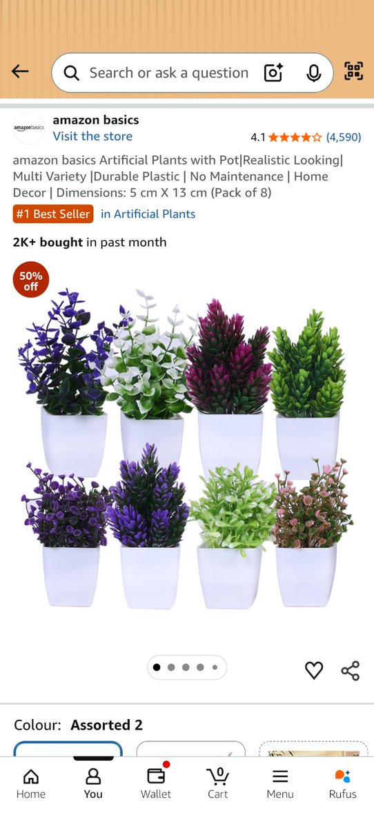 Samad Asfi aka SARFiRA tweet media