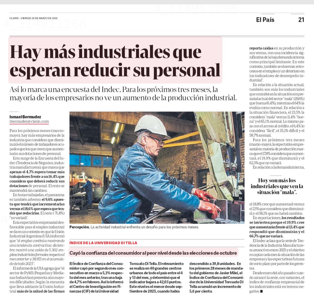 Federico Pavlidis tweet media