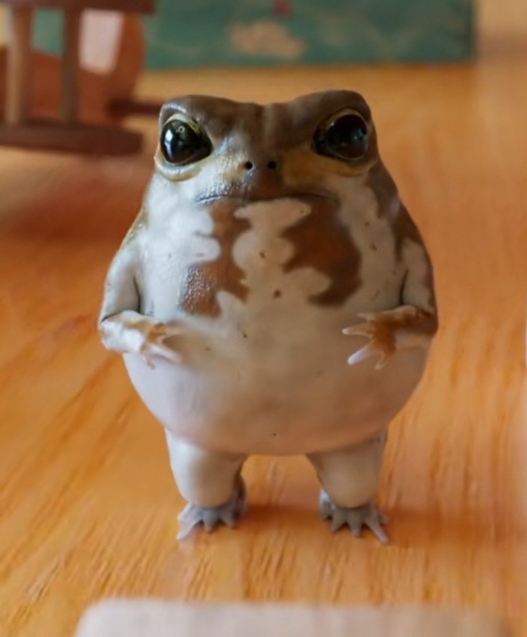 Sol Addic🪖 tweet media