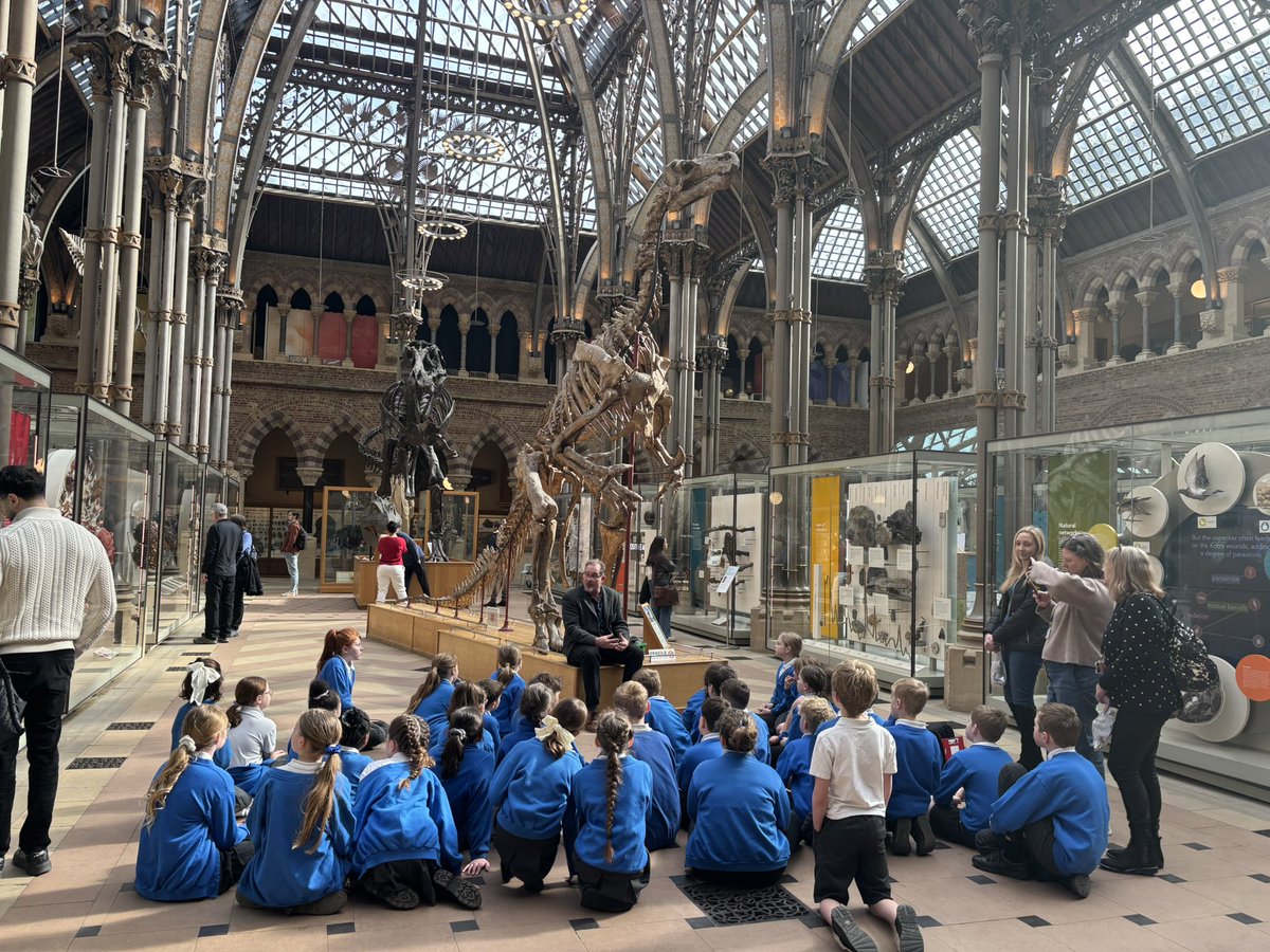 Ashford Hill Primary School tweet media