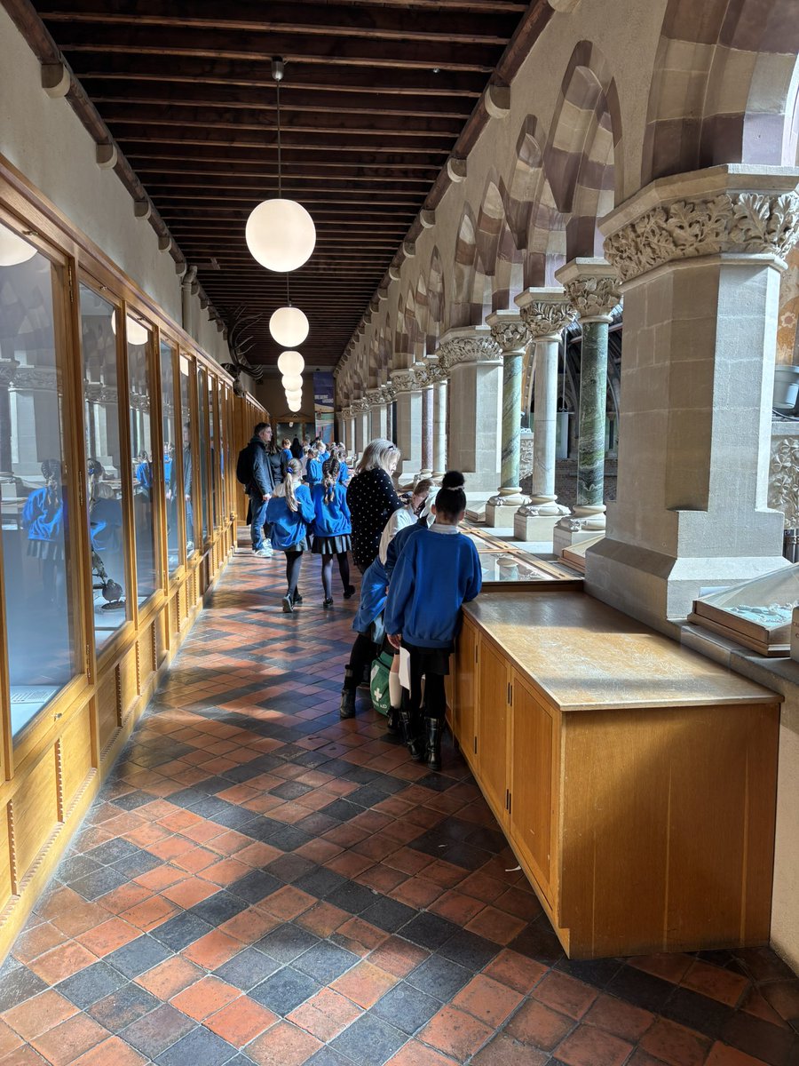 Ashford Hill Primary School tweet media