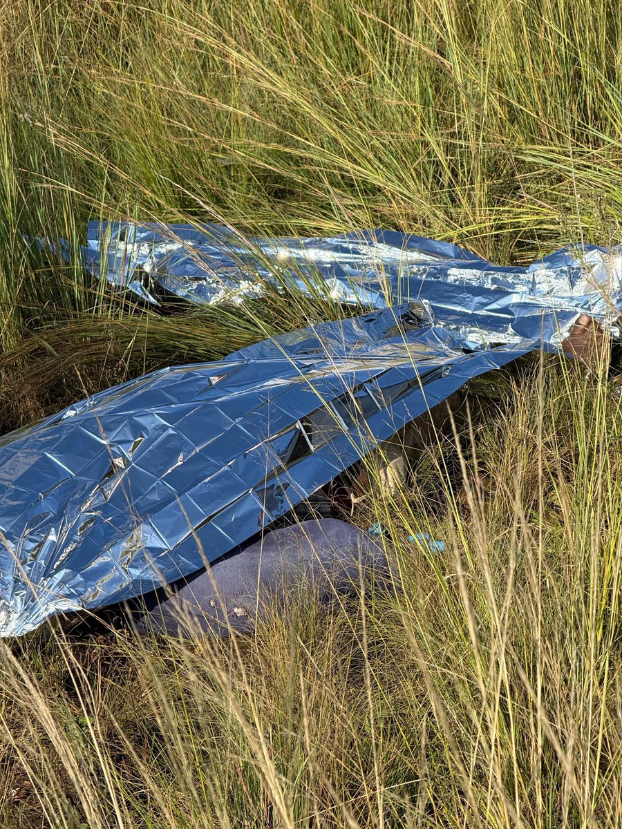 The Daily Byte tweet media