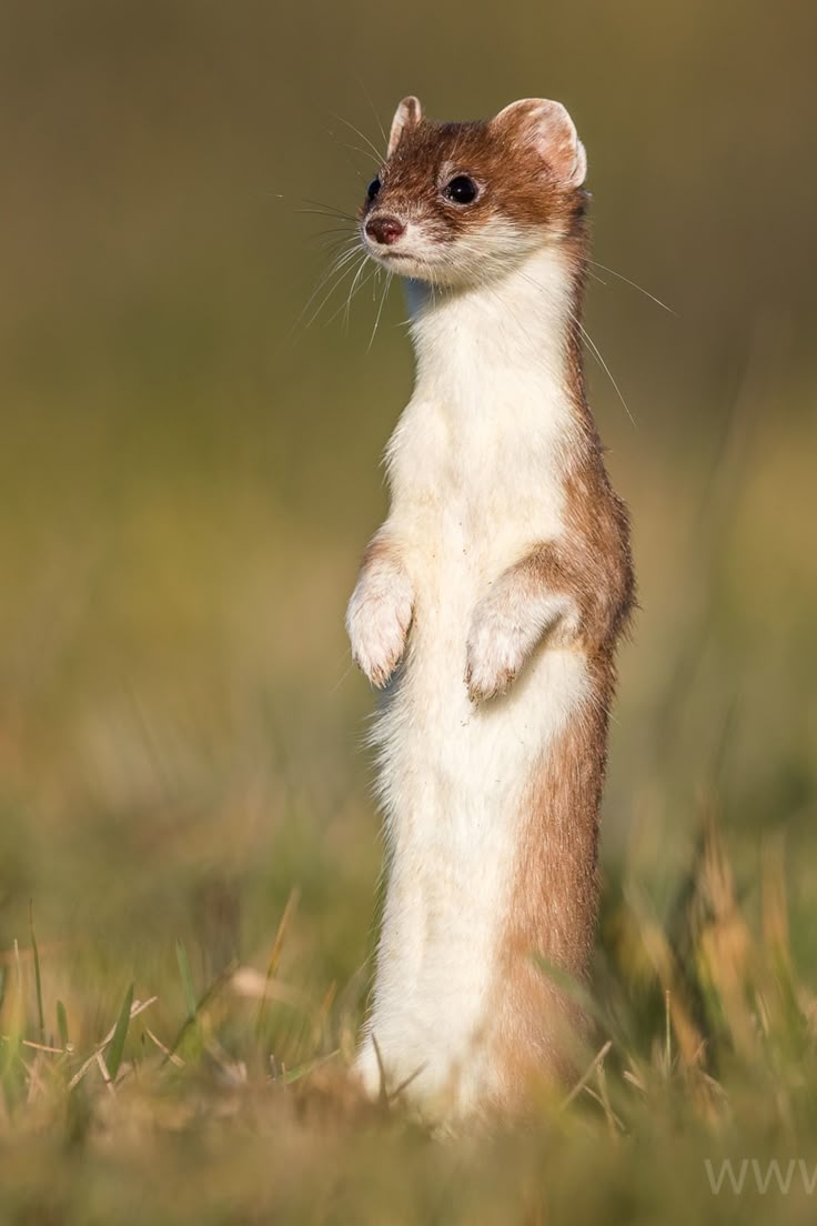 ~merci beaucoup~ tweet media