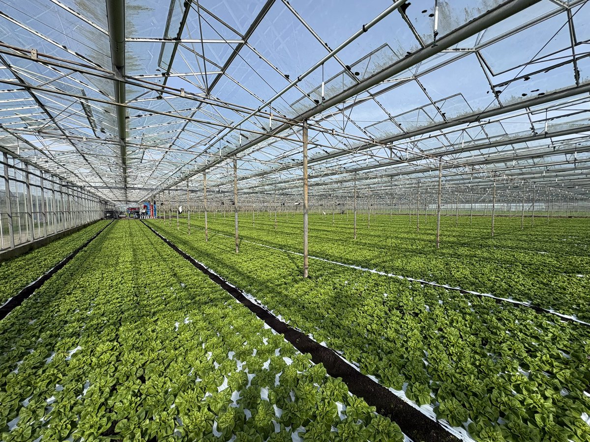 Agronomysilvers tweet picture