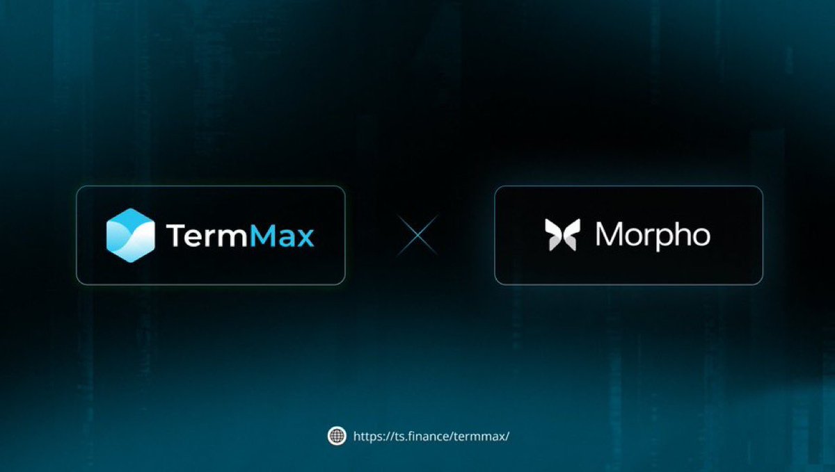 LingXuan_T 🐬TermMax tweet media