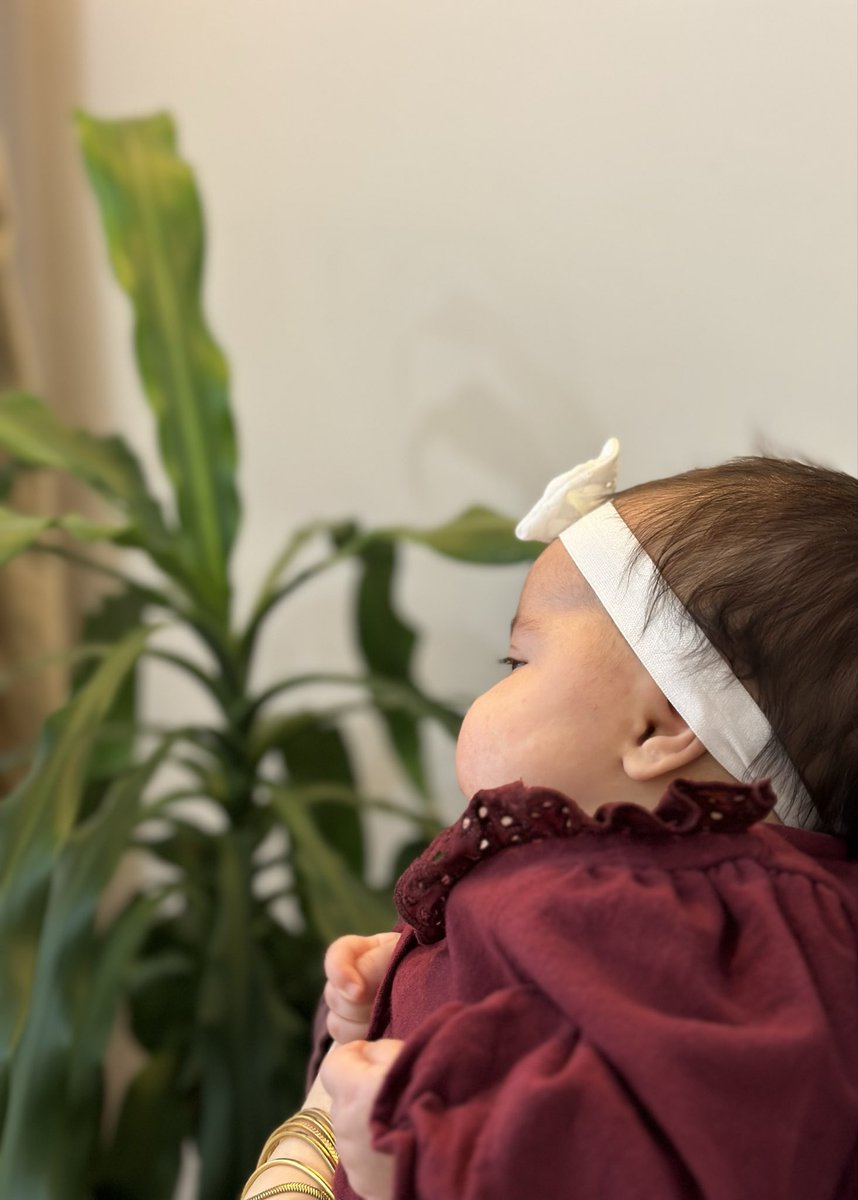 miftahulsema's tweet photo. Bu bayram şekerim de neşem de bir başka🎀 https://t.co/NDWkvUN0i0