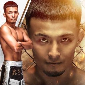 ファイトメモリー | Fight Memory tweet media