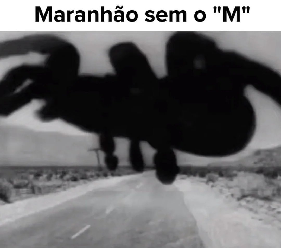 Página Séria. tweet media