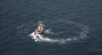 Stephen Gibbons tweet media