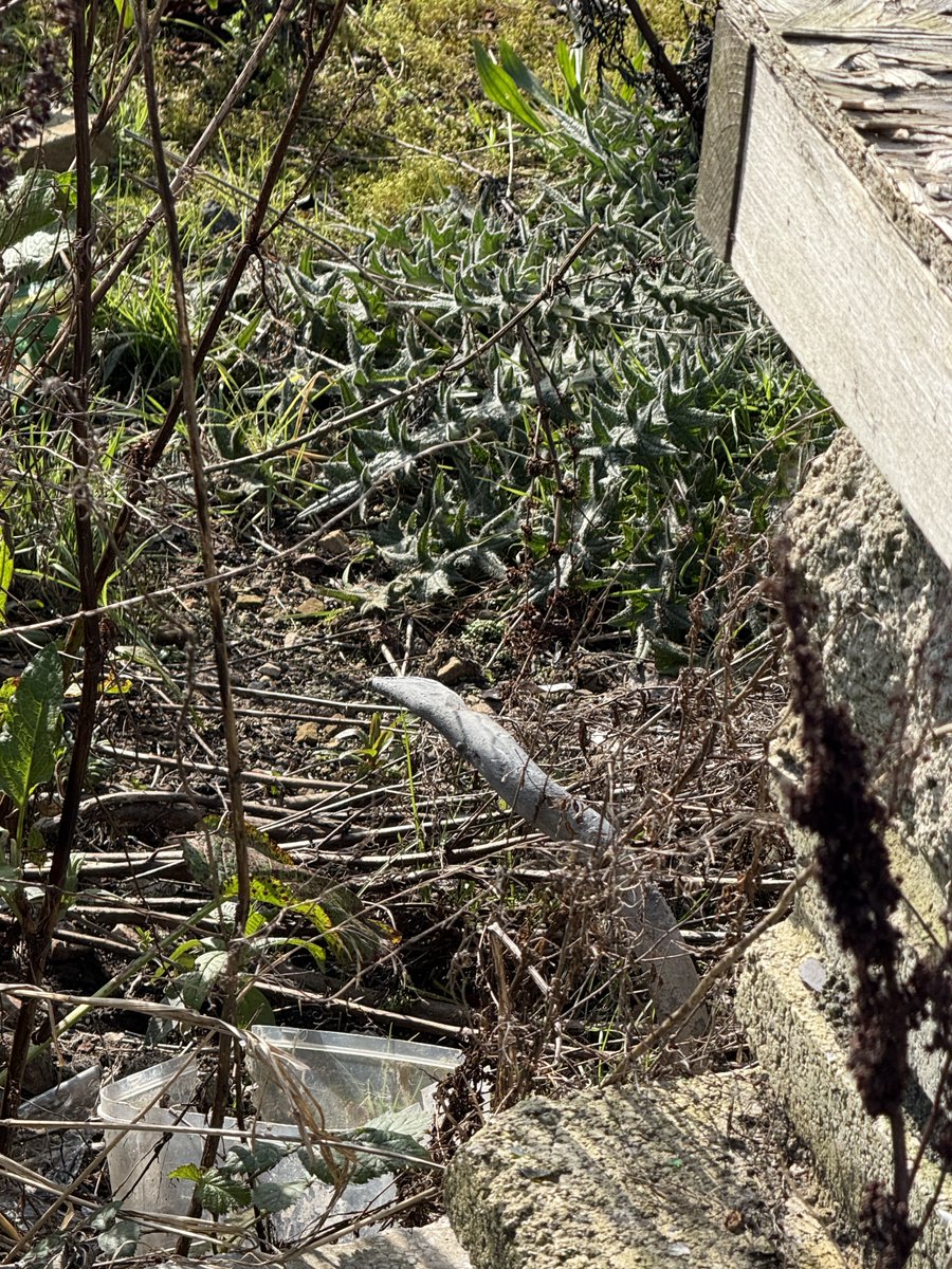 Nick King tweet media