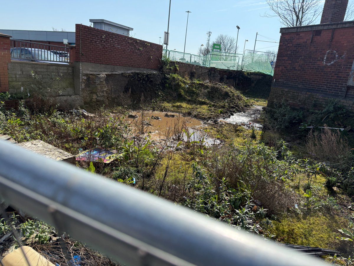 Nick King tweet media