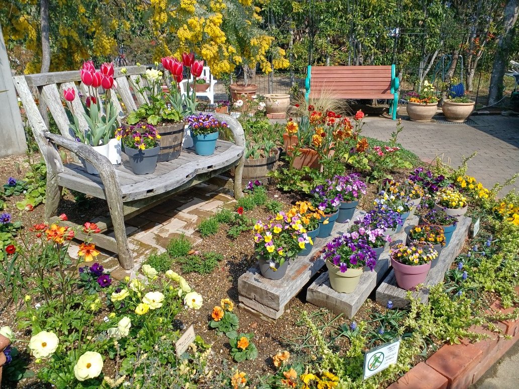 海の中道海浜公園 tweet media