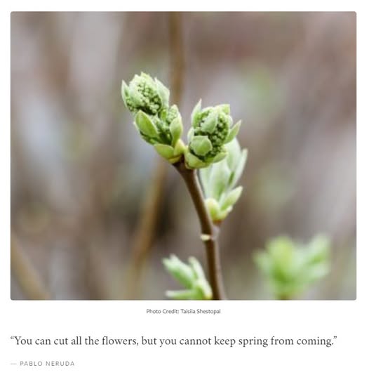 Jeff Remington tweet media