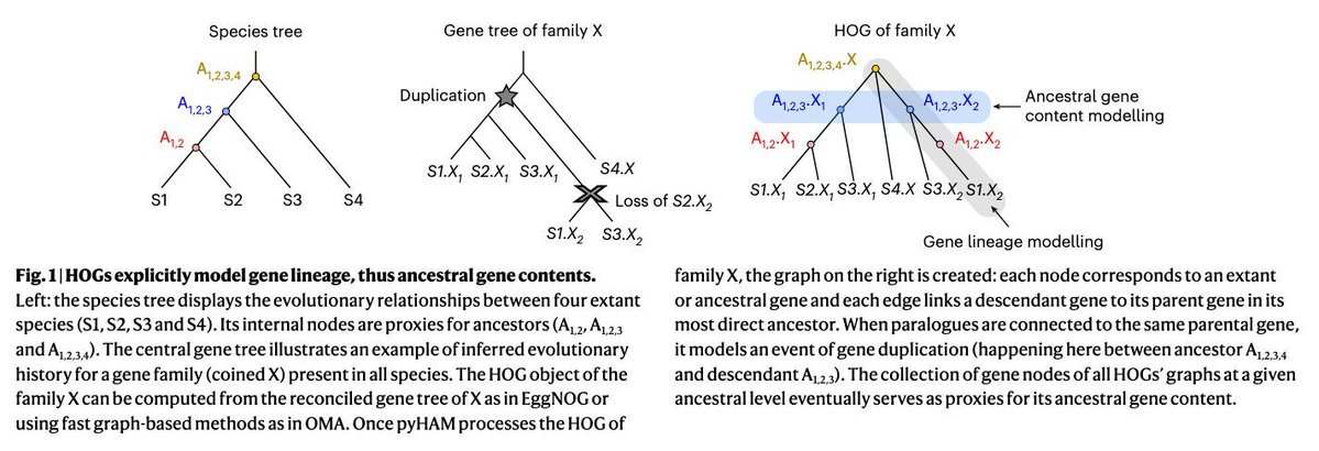 Stephen Turner 🦋 @stephenturner.us tweet media