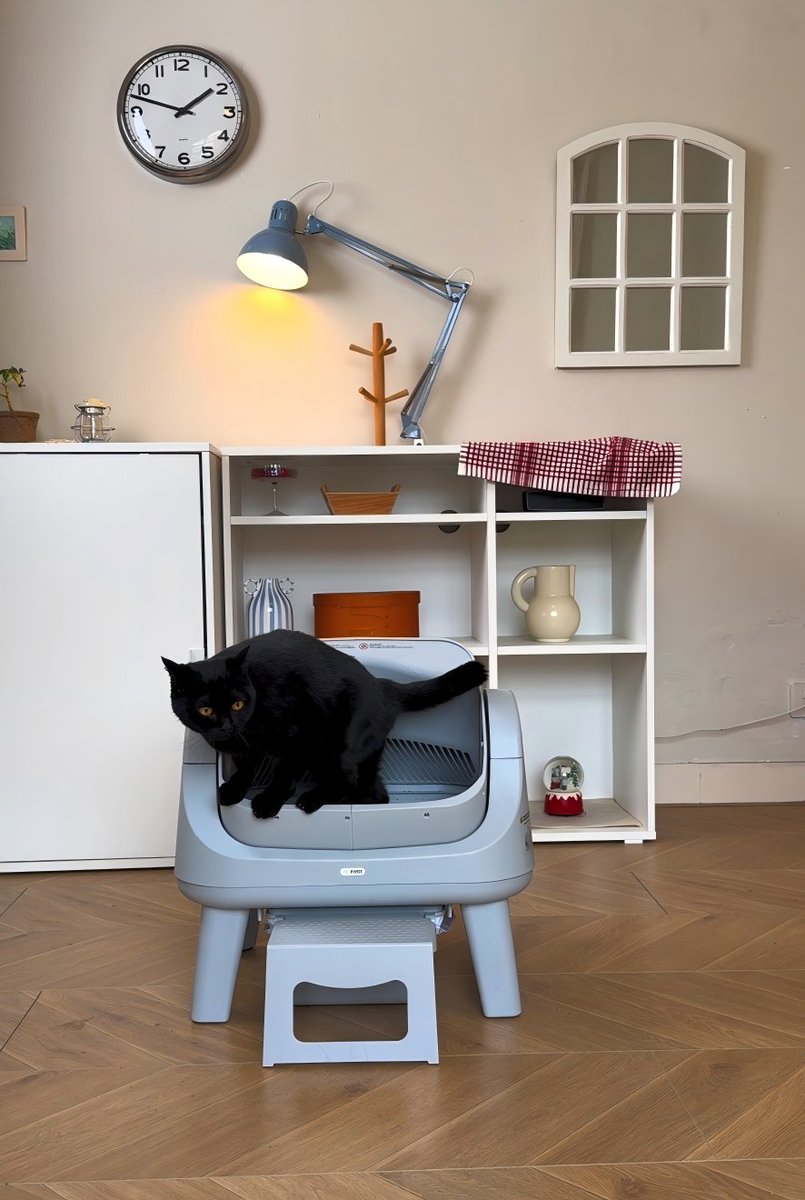 AutoScooper by PetPivot tweet media