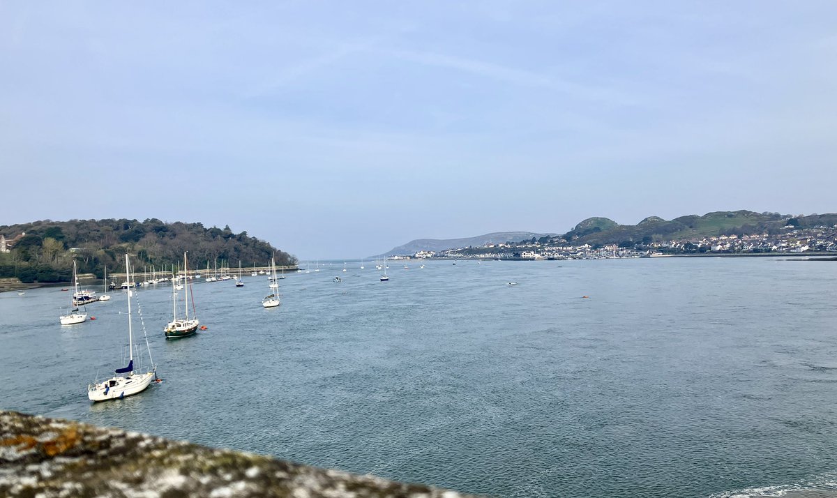 Dave Johnson tweet media