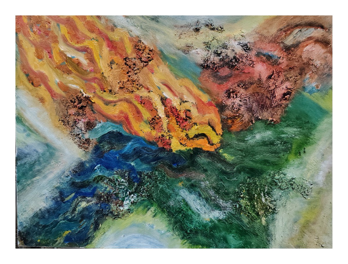 shayne flynn tweet media