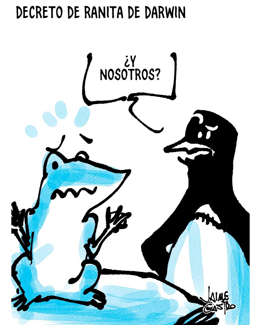 Medios UdeC tweet media