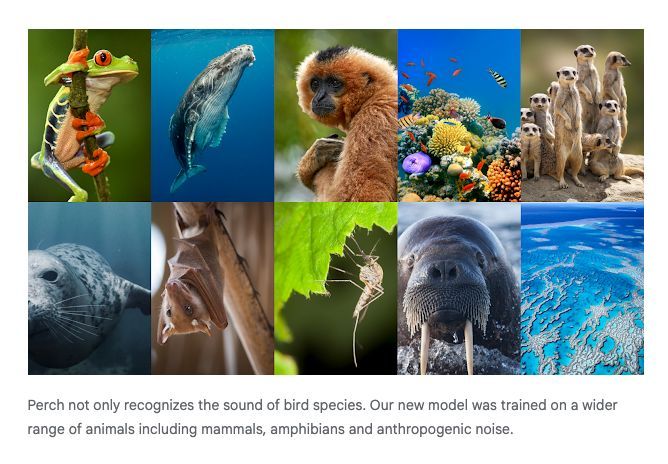 Stephen Turner 🦋 @stephenturner.us tweet media