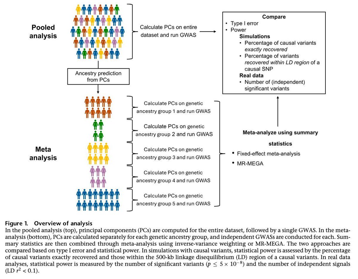 Stephen Turner 🦋 @stephenturner.us tweet media