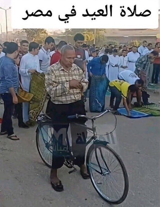 علياء 🇲🇦 tweet media