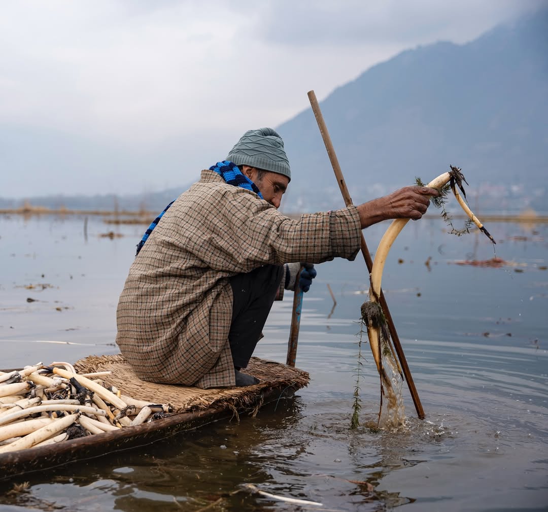 SIGMA India tweet media