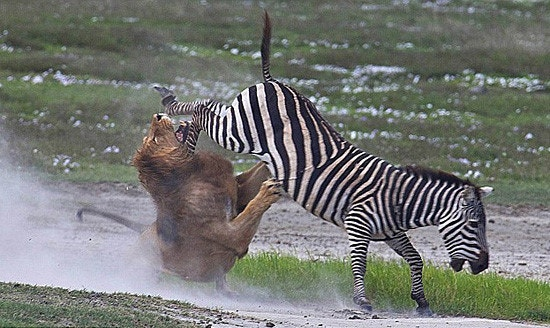 세상거꾸로보기 tweet media