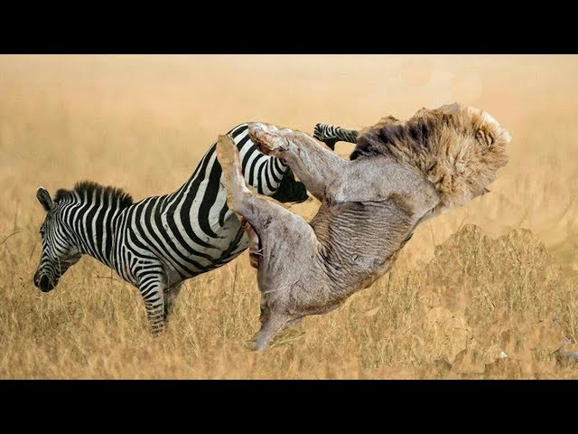 세상거꾸로보기 tweet media