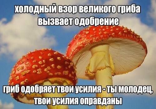 Ehwas (@umbranoxx) on Twitter photo 