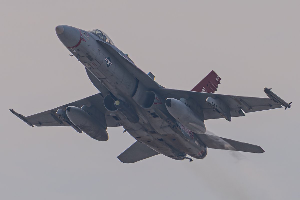 カリス（は湯たんぽ使用中？） tweet media