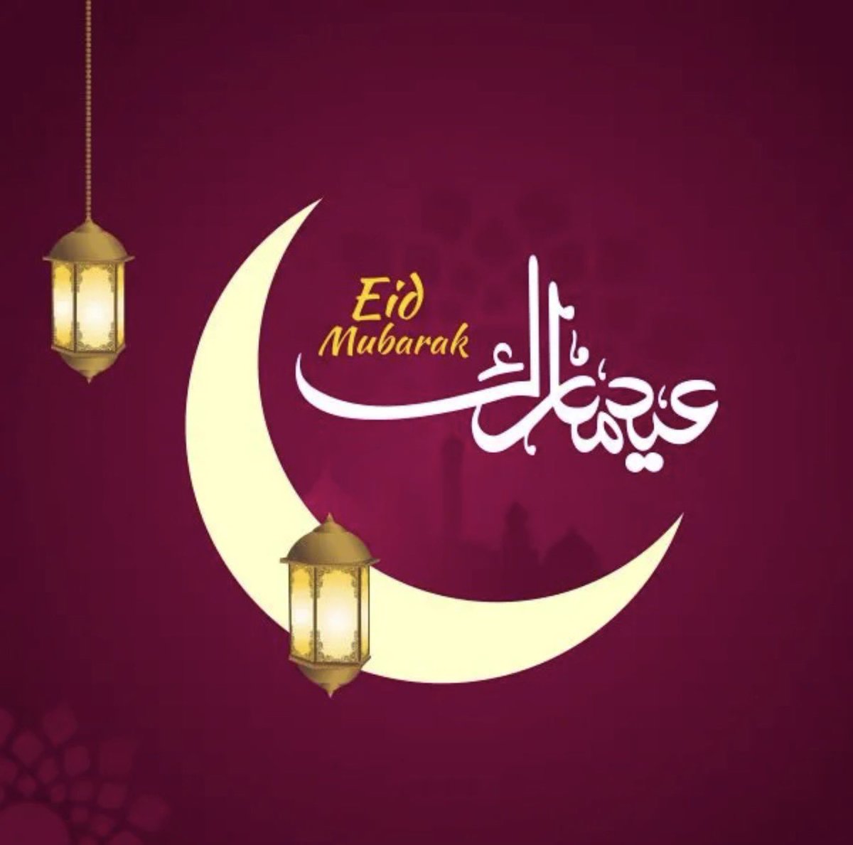 Samira Hamidi tweet media