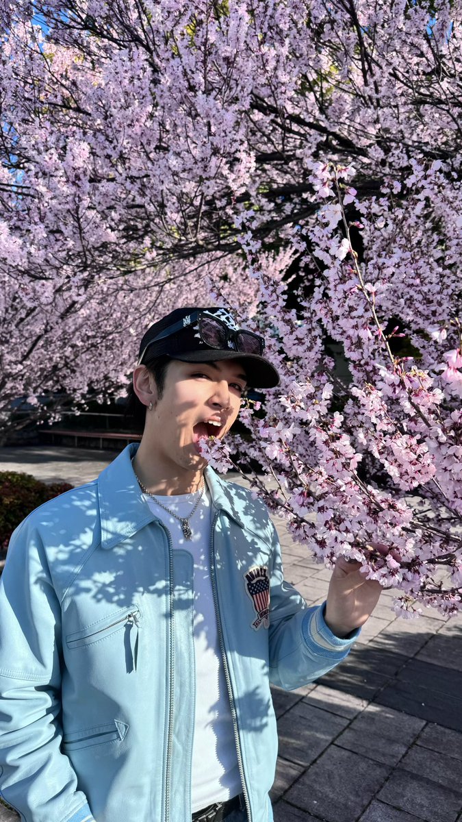 kota kato | 康太 tweet media