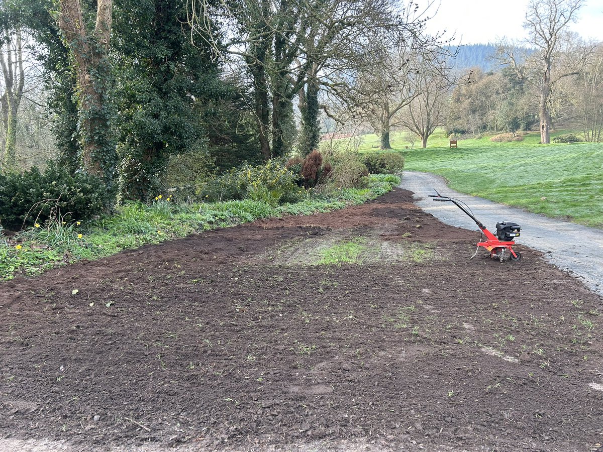 MarkSim93794378's tweet image. Ground prep this morning, rotovating grassed area adjacent to 16th path, imported soil, raked and sprayed in preparation of planting 🪴 

#details @MonmouthshireGC