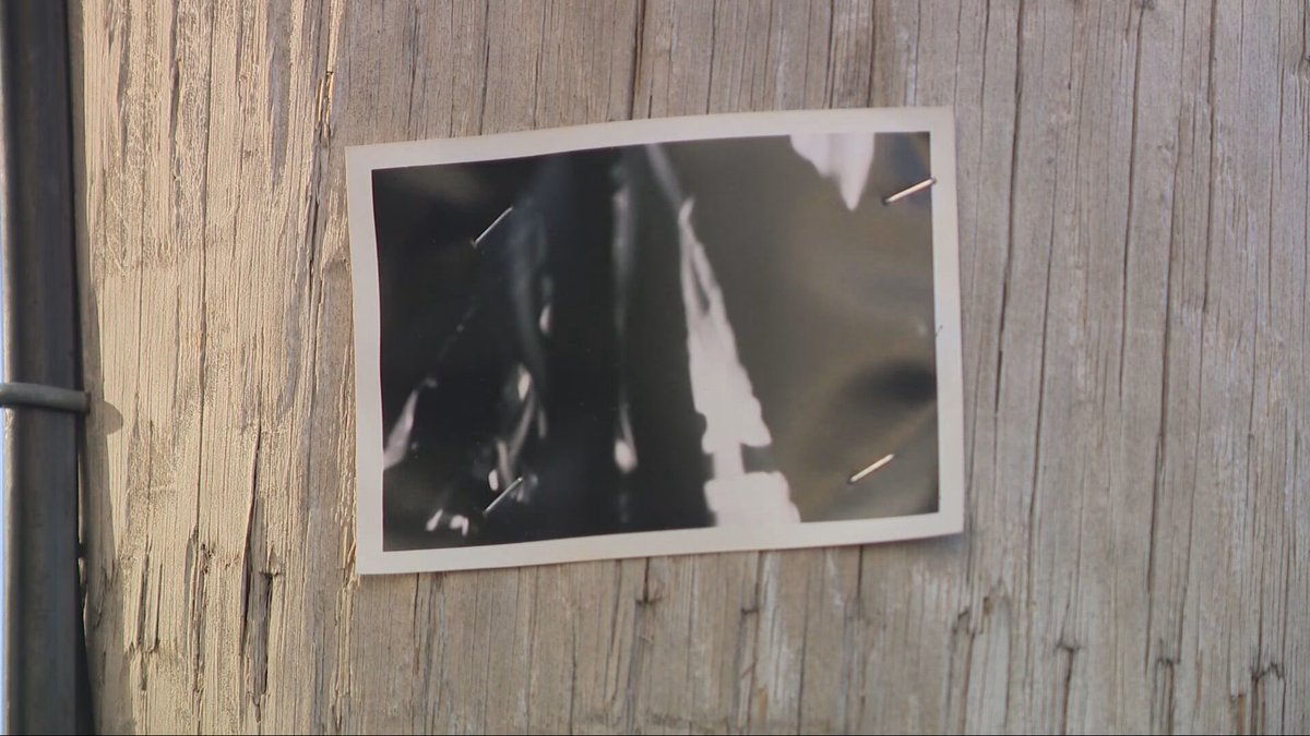 Mario Hilario tweet media