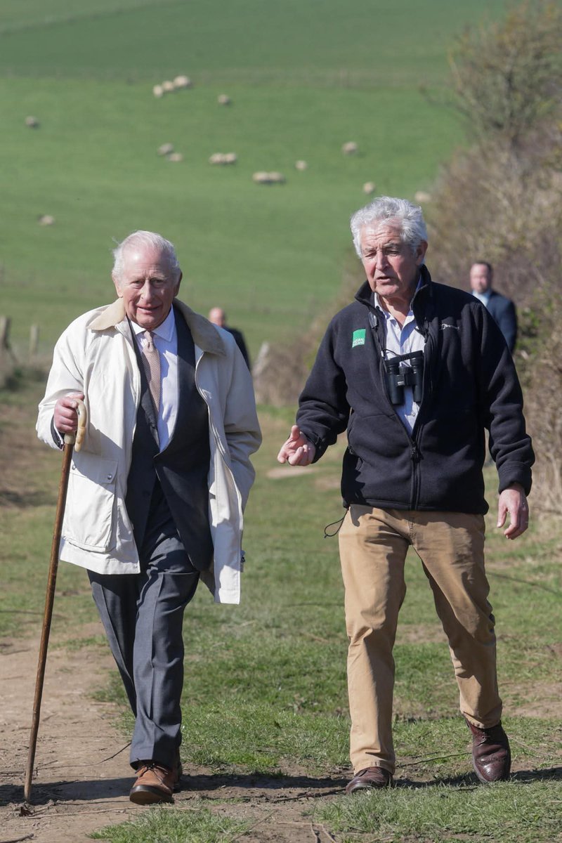 namse udosen tweet media