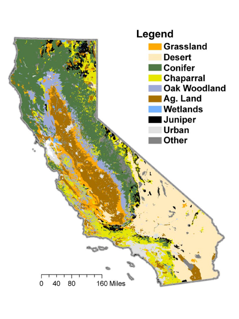 Neema 🩵🏝️ tweet media
