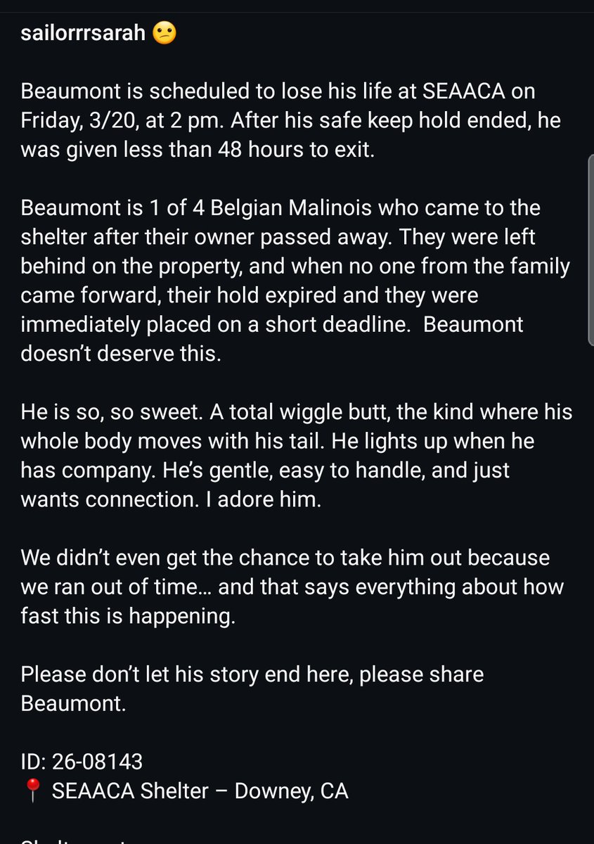 Foster a shelterpet at ZERO COST🐾 tweet media