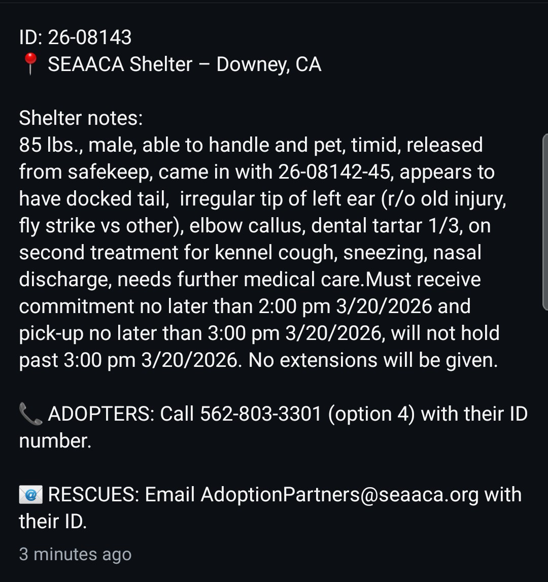 Foster a shelterpet at ZERO COST🐾 tweet media