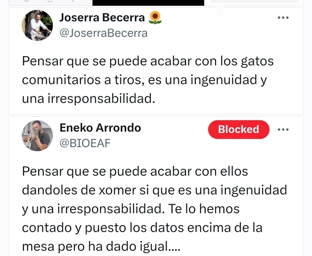 Puente Suspiro tweet media