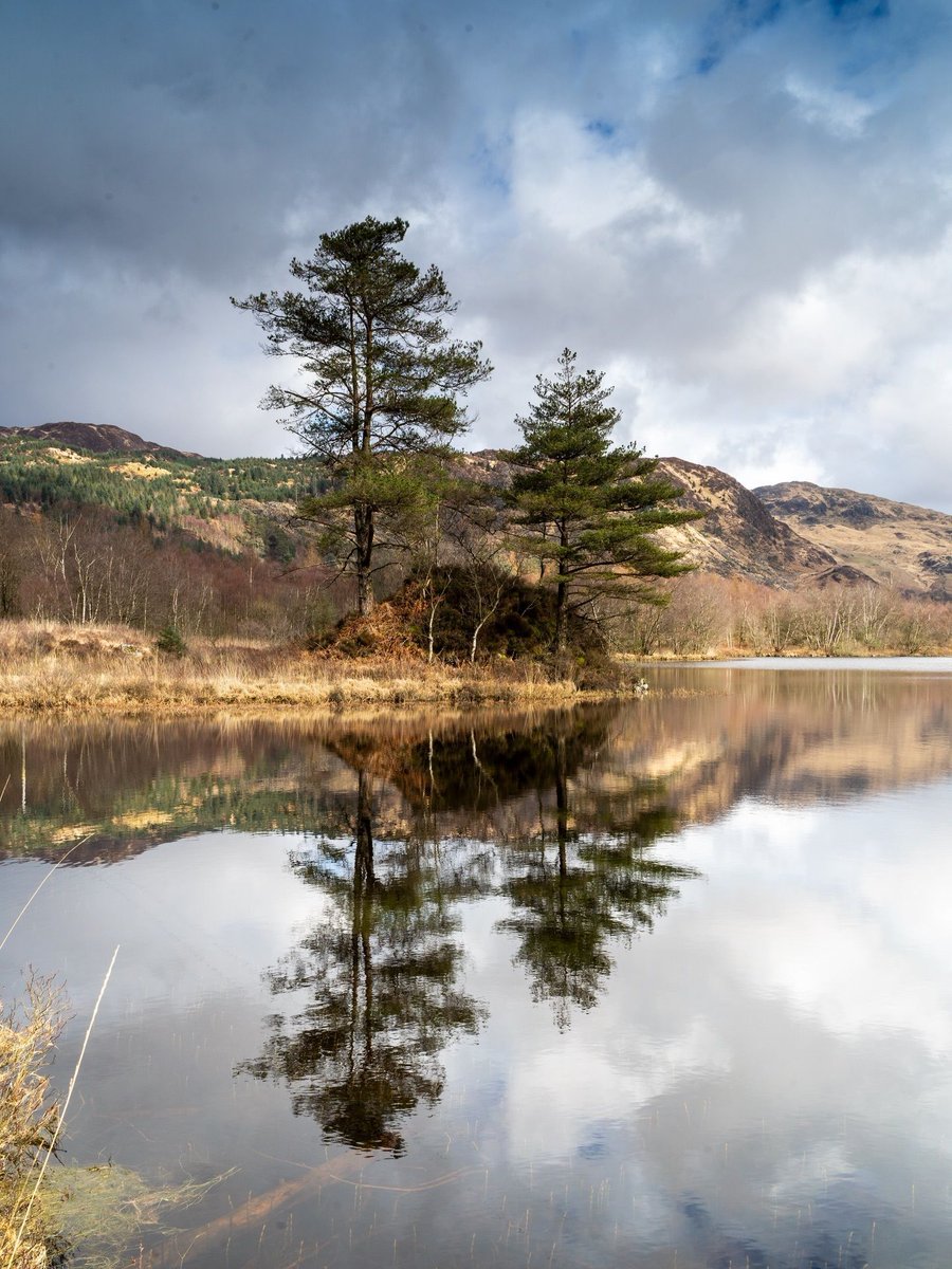 Dumfries & Galloway! What's Going On? tweet media