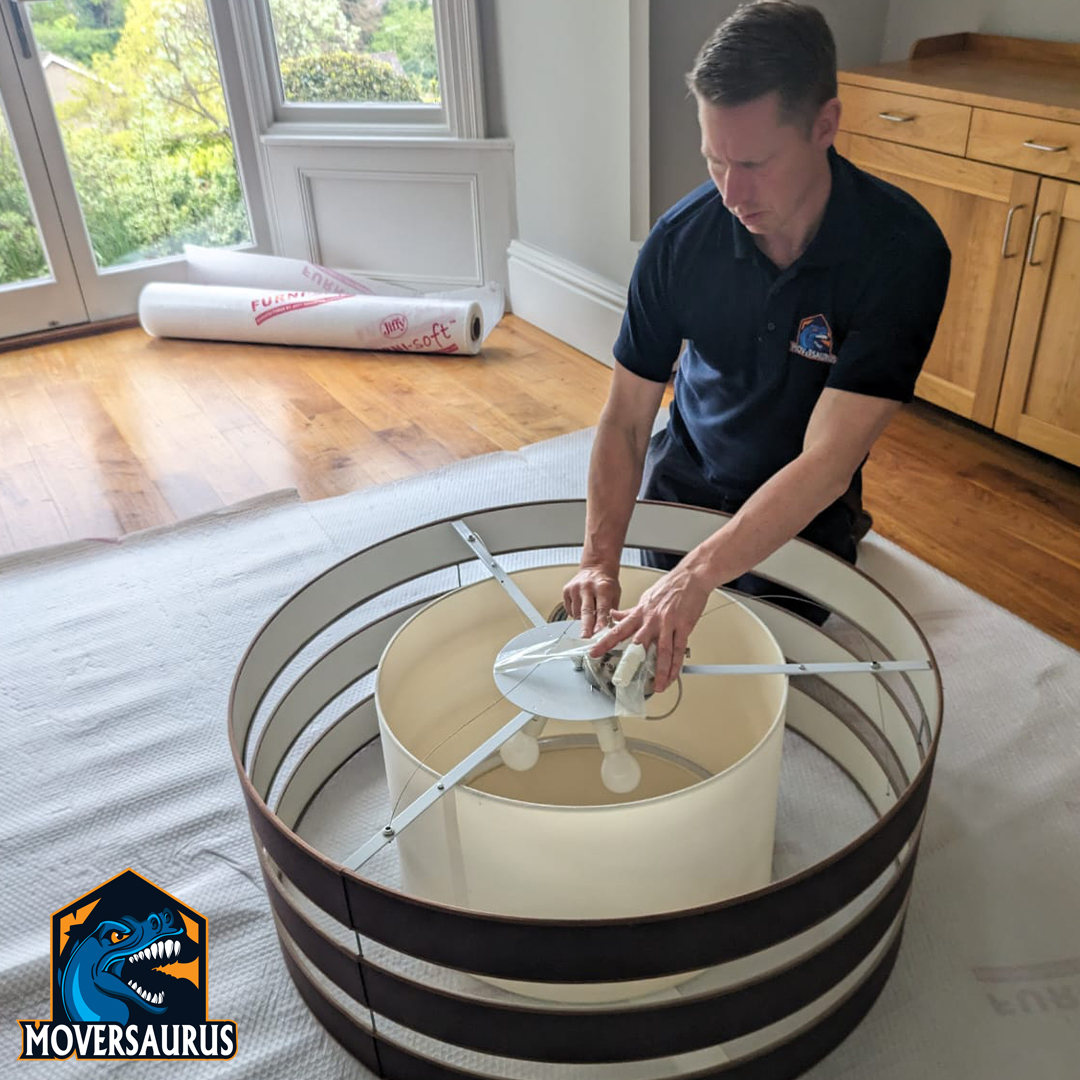 Moversaurus tweet media