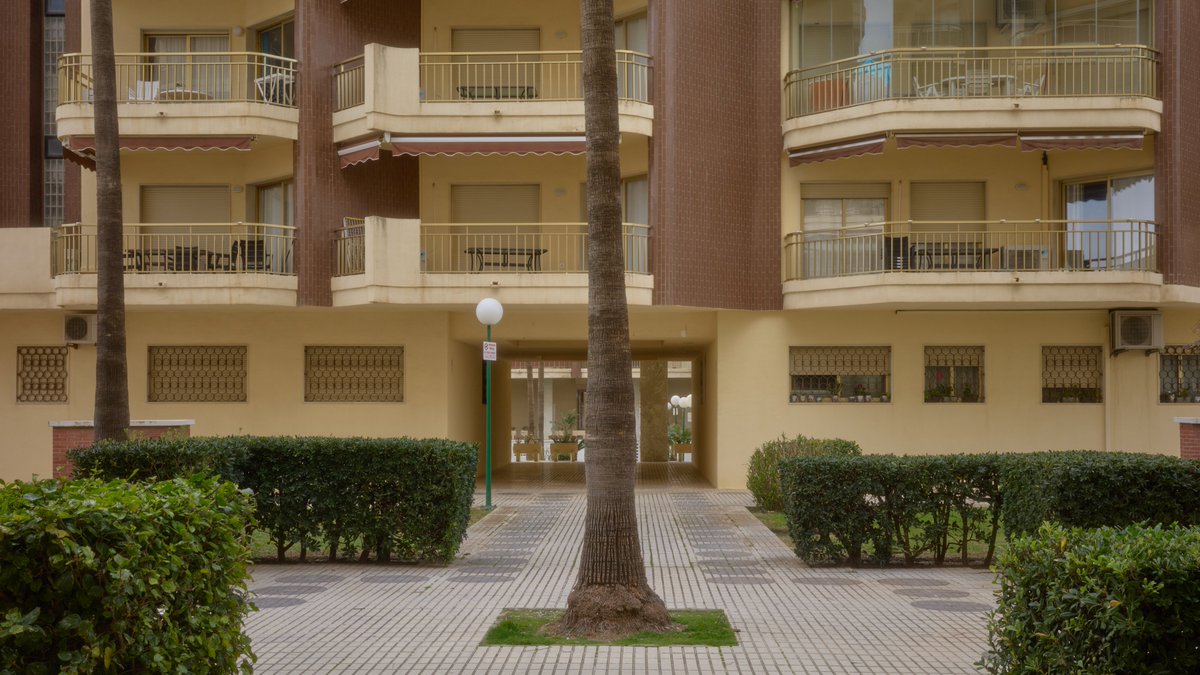 Bálint Popovits tweet media