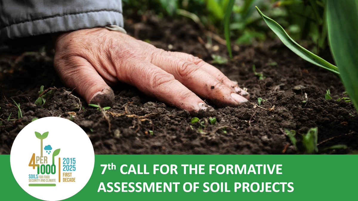 4p1000initiative tweet media